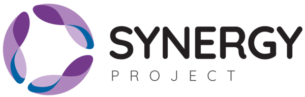 Synergy Project