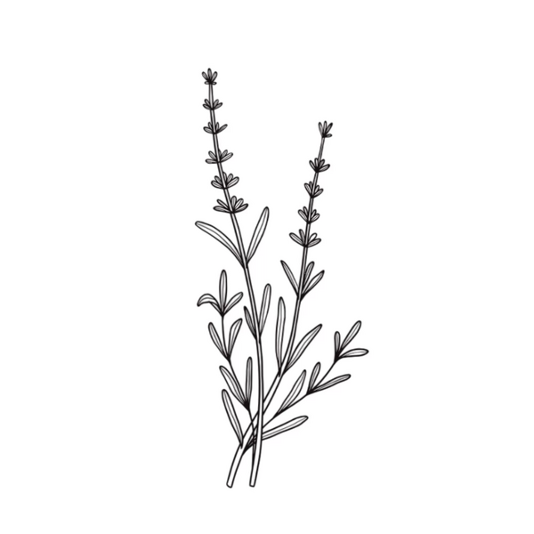 Claire Colbeck Counselling